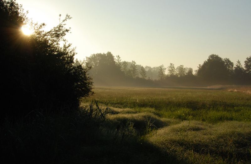 Le Bruch de l’Andlau au lever du soleil. (Photo GB)