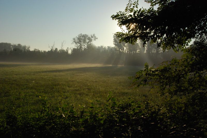 Le Bruch de l’Andlau au lever du soleil. (Photo GB)