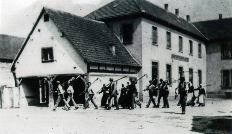 Un groupe de faucheurs en pleine action.