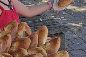 14 juillet : Distribution de brioches